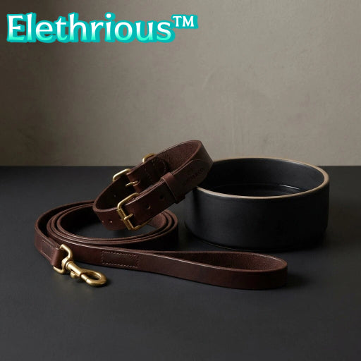 Elethrious™ HeritageBond Leather Collar & Leash Set