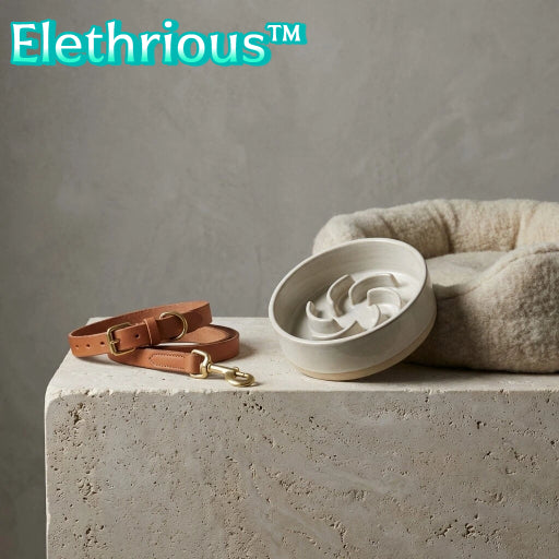 Elethrious™ HarmonyPace Pet Comfort & Slow Feed Set