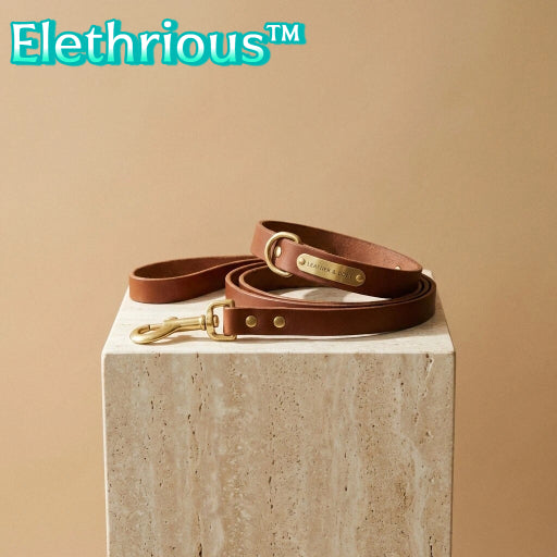 Elethrious™ SaddleCraft Leather Collar & Leash Duo